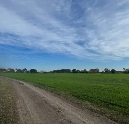 Снимка 4 — Парцел в Пловдив, с. Ягодово