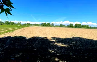 Парцел в Пловдив, с. Ягодово