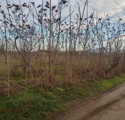 Photo 2 — Plot in Oblast Plovdiv, Yagodovo