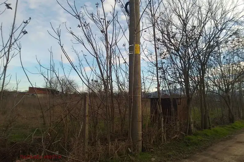 Plot in Oblast Plovdiv, Yagodovo