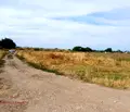 Снимка 2 — Парцел в Пловдив, с. Златитрап