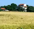 Снимка 4 — Парцел в Пловдив, с. Златитрап