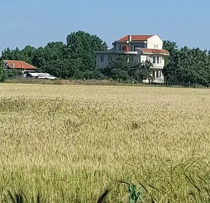 Photo 4 — Plot in Oblast Plovdiv, Zlatitrap