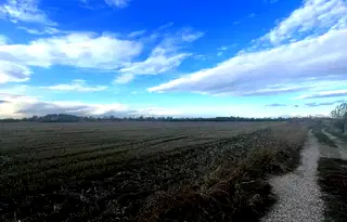 Парцел в Пловдив, с. Златитрап