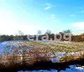 Снимка 3 — Парцел в Разград, с. Дряновец