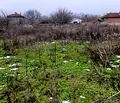 Снимка 2 — Парцел в Разград, с. Гецово