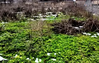 Парцел в Разград, с. Гецово