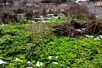 Парцел в Разград, с. Гецово