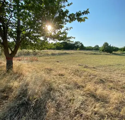 Photo 3 — Plot in Oblast Razgrad, Ionkovo