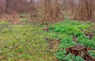 Парцел в Разград, с. Пороище