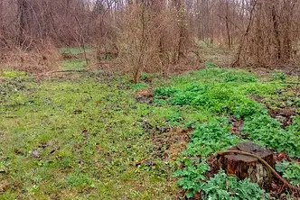 Парцел в Разград, с. Пороище