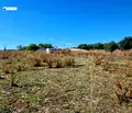 Снимка 3 — Парцел в Разград, с. Сейдол