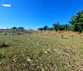 Снимка 4 — Парцел в Разград, с. Сейдол