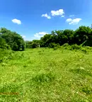 Парцел в Разград, с. Ушинци
