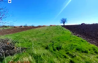 Парцел в Русе, Сливо поле