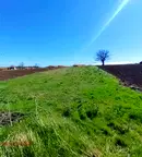 Парцел в Русе, Сливо поле