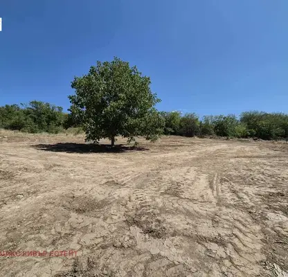 Photo 2 — Plot in Oblast Ruse, Basarbovo