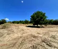 Снимка 4 — Парцел в Русе, с. Басарбово