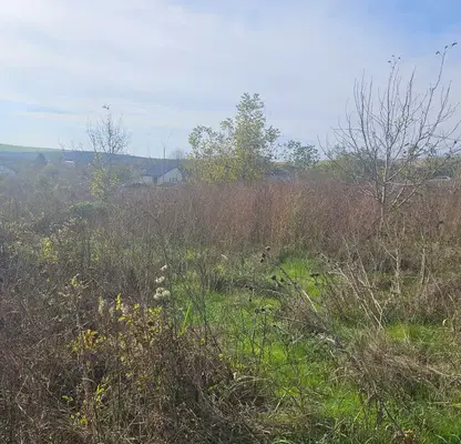 Photo 2 — Plot in Oblast Ruse, Basarbovo