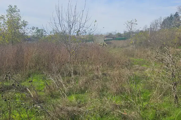 Plot in Oblast Ruse, Basarbovo