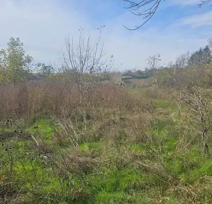 Photo 2 — Plot in Oblast Ruse, Basarbovo