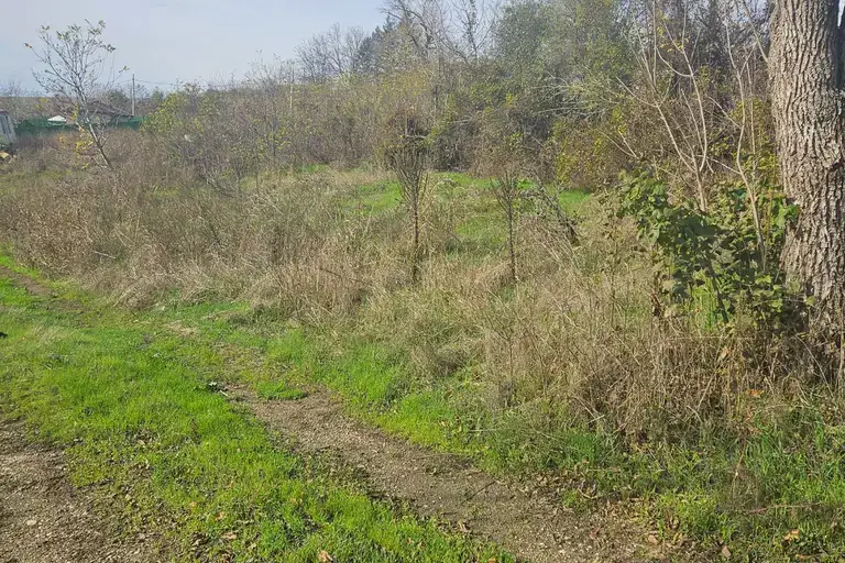 Plot in Oblast Ruse, Basarbovo