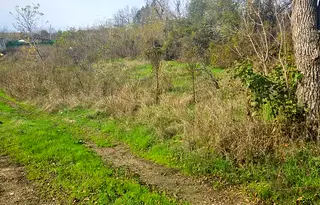 Парцел в Русе, с. Басарбово