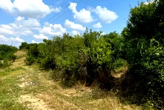 Парцел в Русе, с. Бистренци