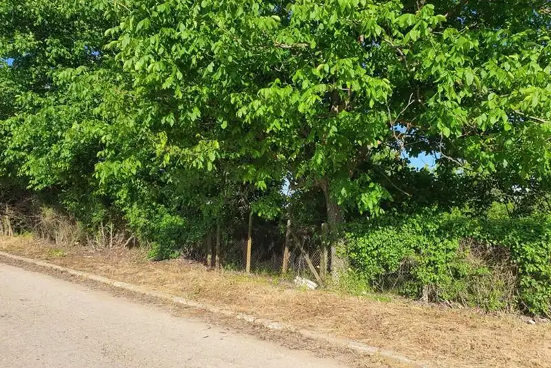 Парцел в Русе, с. Бистренци