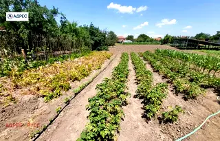 Парцел в Русе, с. Борисово