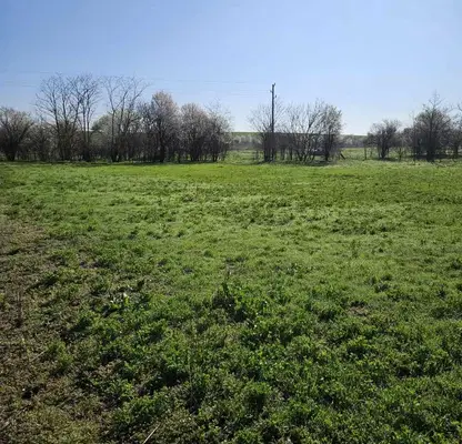 Photo 5 — Plot in Oblast Ruse, Borisovo