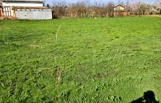 Парцел в Русе, с. Борисово