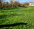 Снимка 5 — Парцел в Русе, с. Борисово