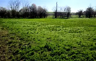 Парцел в Русе, с. Борисово