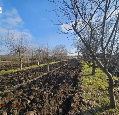 Photo 2 — Plot in Oblast Ruse, Borisovo