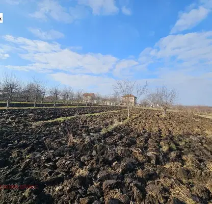 Photo 3 — Plot in Oblast Ruse, Borisovo