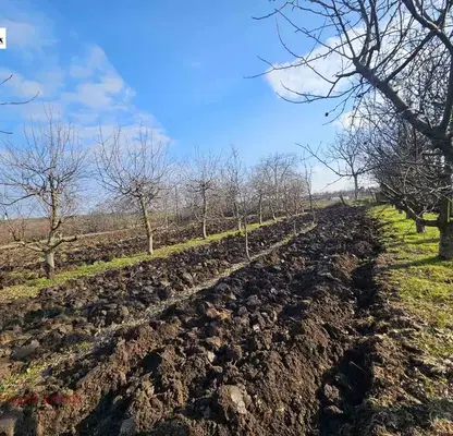 Photo 4 — Plot in Oblast Ruse, Borisovo
