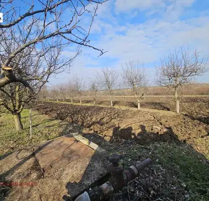 Photo 5 — Plot in Oblast Ruse, Borisovo