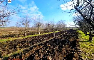 Парцел в Русе, с. Борисово
