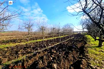 Парцел в Русе, с. Борисово