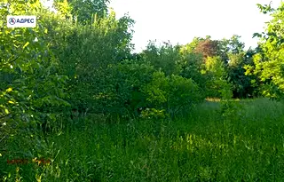 Парцел в Русе, с. Борисово