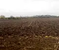Снимка 2 — Парцел в Русе, с. Борисово