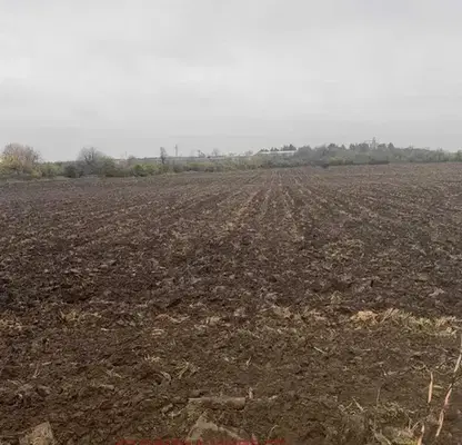 Photo 2 — Plot in Oblast Ruse, Borisovo