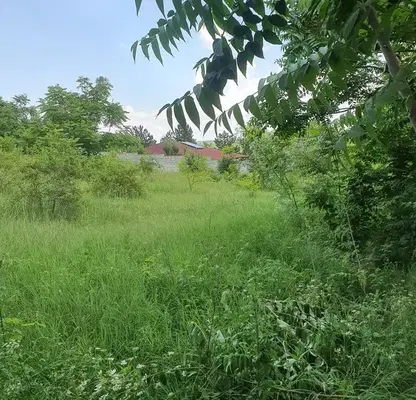 Photo 4 — Plot in Oblast Ruse, Bryshlen