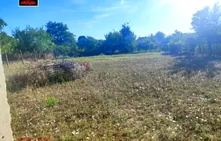 Парцел в Русе, с. Бръшлен