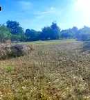 Парцел в Русе, с. Бръшлен