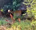 Снимка 5 — Парцел в Русе, с. Бръшлен