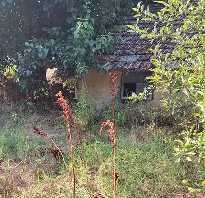 Снимка 5 — Парцел в Русе, с. Бръшлен