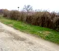 Снимка 4 — Парцел в Русе, с. Ценово