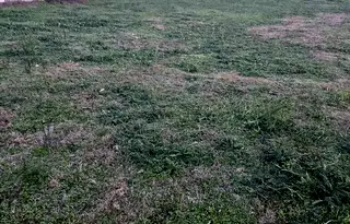 Парцел в Русе, с. Червена вода